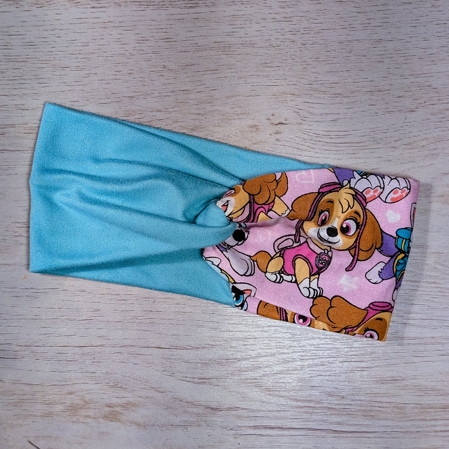 Two Tone Turquoise Skye Paw Patrol Knotem